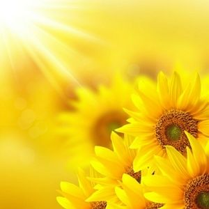 Meet your Posher, Susie